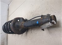  Амортизатор подвески Audi A3 (8L) 1996-2003 20216342 #6