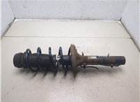1J0413031N Амортизатор подвески Audi A3 (8L) 1996-2003 20216355 #5