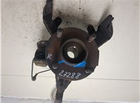 1333147, 5N111104AA Ступица (кулак, цапфа) Ford Focus 1 1998-2004 20216867 #5
