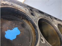 A1110106608 Блок цилиндров (Шорт блок) Mercedes C W203 2000-2008 20218636 #5