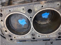 A1110106608 Блок цилиндров (Шорт блок) Mercedes C W203 2000-2008 20218636 #12