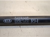  Амортизатор крышки багажника KIA Rio 2005-2011 20218838 #2