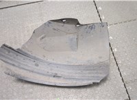 05113094 Защита арок (подкрылок) Chrysler Voyager 2007-2010 20219517 #1
