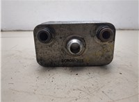 17107500754 Теплообменник BMW X5 E53 2000-2006 20221857 #7