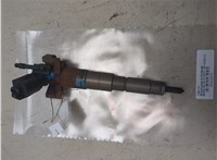 13537808089 Форсунка топливная BMW X5 E70 2007-2013 20222031 #1