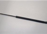  Амортизатор крышки багажника Ford Fusion 2002-2012 20222862 #2