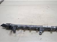  Рампа (рейка) топливная Seat Leon 2 2009-2012 20223177 #1