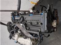 KZ38302100 Двигатель (ДВС) KIA Rio 2005-2011 20223900 #3