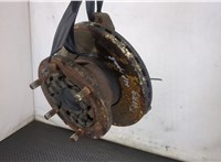 1705453, 1703800 Ступица (кулак, цапфа) DAF LF 45 2001-2013 20224096 #1
