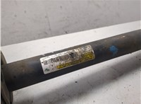 A2133203630, A2133210304 Амортизатор подвески Mercedes E W213 20224752 #4