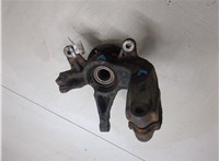  Кулак поворотный Renault Scenic 2003-2009 11317098 #3