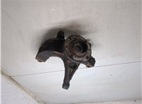  Кулак поворотный Renault Scenic 2003-2009 11317098 #4