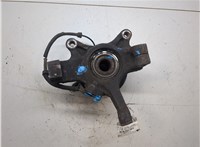 4500108, 9160408 Ступица (кулак, цапфа) Opel Movano 1998-2010 20225661 #6