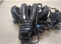  Коллектор впускной Mazda 6 (GG) 2002-2008 20226097 #5