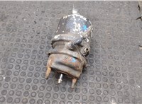 1408760 Энергоаккумулятор DAF LF 2001-2013 20226593 #5