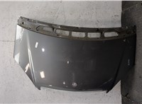 A1698800057 Капот Mercedes A W169 2004-2012 20229817 #14