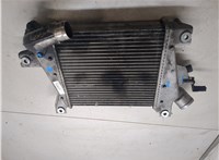 14461EQ405 Радиатор интеркулера Nissan X-Trail (T30) 2001-2006 20235240 #7