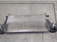  Радиатор интеркулера Opel Insignia 2008-2013 20235365 #2