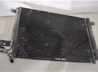  Радиатор кондиционера Seat Leon 2 2009-2012 20236062 #1