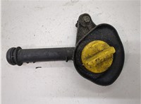  Горловина маслозаливная Renault Clio 2005-2009 20236491 #1