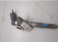 166009445R, 8200294788 Форсунка топливная Renault Scenic 2009-2012 20237951 #3