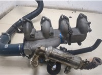  Коллектор впускной Ford C-Max 2002-2010 20242609 #6