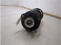 3C0413031AS, JZW413031A, 1K0411105BP Амортизатор подвески Volkswagen Passat 6 2005-2010 20243551 #5