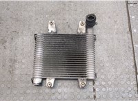  Радиатор интеркулера KIA Carnival 2001-2006 20243734 #1