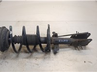  Амортизатор подвески Renault Laguna 2 2001-2007 20244142 #1