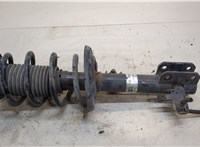  Амортизатор подвески Opel Vectra C 2002-2008 20244153 #1