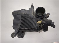  Корпус воздушного фильтра Renault Scenic 2003-2009 20245478 #1