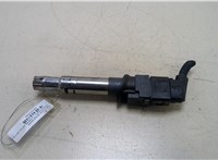  Катушка зажигания Volkswagen Touareg 2010-2014 20245506 #1