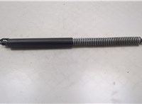  Амортизатор крышки багажника BMW 7 E65 2001-2008 20245645 #3