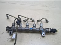  Рампа (рейка) топливная KIA Ceed 2012-2018 20245647 #1