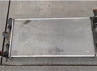  Радиатор охлаждения двигателя Citroen Jumper (Relay) 2006-2014 20245672 #1