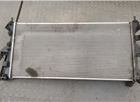  Радиатор охлаждения двигателя Citroen Jumper (Relay) 2006-2014 20245672 #3
