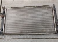  Радиатор охлаждения двигателя Ford C-Max 2002-2010 20245791 #1