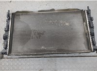  Радиатор охлаждения двигателя Ford C-Max 2002-2010 20245791 #3