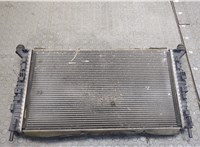  Радиатор охлаждения двигателя Ford Focus 2 2005-2008 20245890 #1