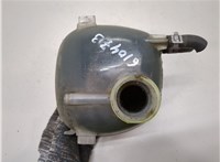  Бачок расширительный Opel Signum 20245913 #2