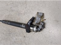  Форсунка топливная Ford Transit 2006-2014 20246055 #6