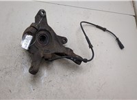  Ступица (кулак, цапфа) Renault Scenic 1996-2002 20246204 #4