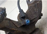  Ступица (кулак, цапфа) Renault Scenic 1996-2002 20246204 #5