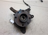  Ступица (кулак, цапфа) Renault Scenic 1996-2002 20246204 #6