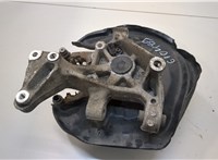  Ступица (кулак, цапфа) Volkswagen Passat 6 2005-2010 20246477 #1