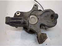  Ступица (кулак, цапфа) Volkswagen Crafter 2006-2016 20246579 #2