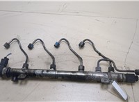 A6460701895 Рампа (рейка) топливная Mercedes Vito W639 2004-2013 20246698 #3
