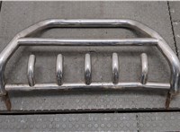  Защита бампера (кенгурятник) Toyota RAV 4 2000-2005 20247245 #1