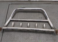  Защита бампера (кенгурятник) Toyota RAV 4 2000-2005 20247245 #2