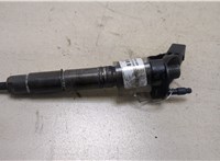RX067496AA, 5175827AB Форсунка топливная Jeep Grand Cherokee 2004-2010 20247859 #1